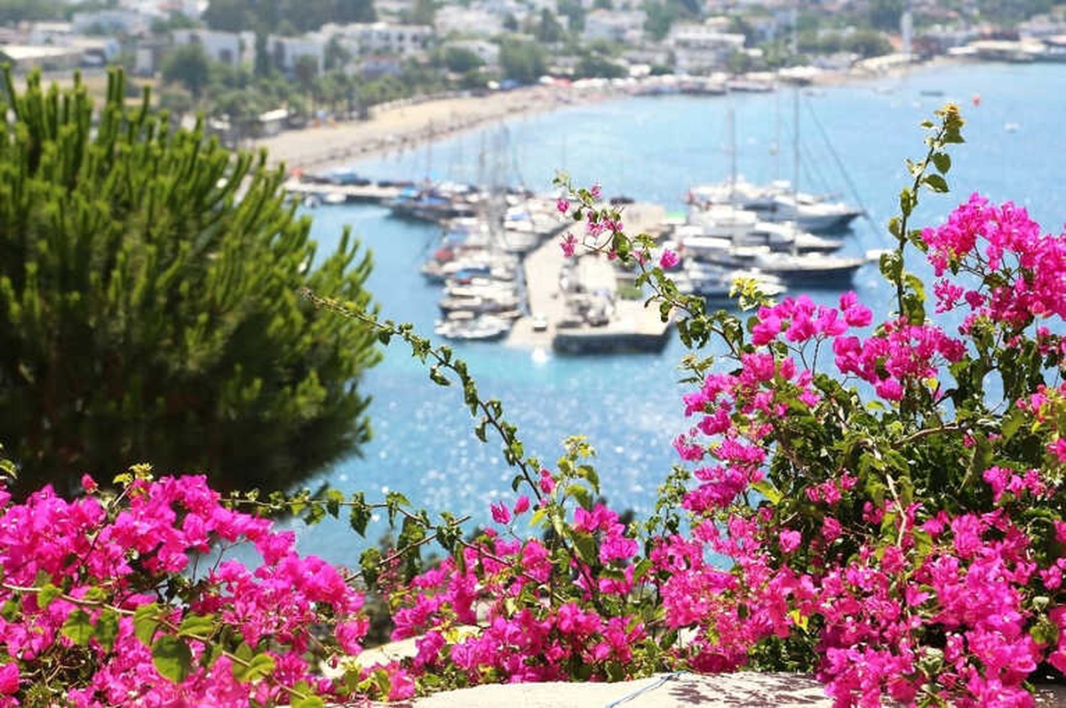 Bodrum\'a Gelen Turist Sayısında Yüzde 60 Artış Oldu