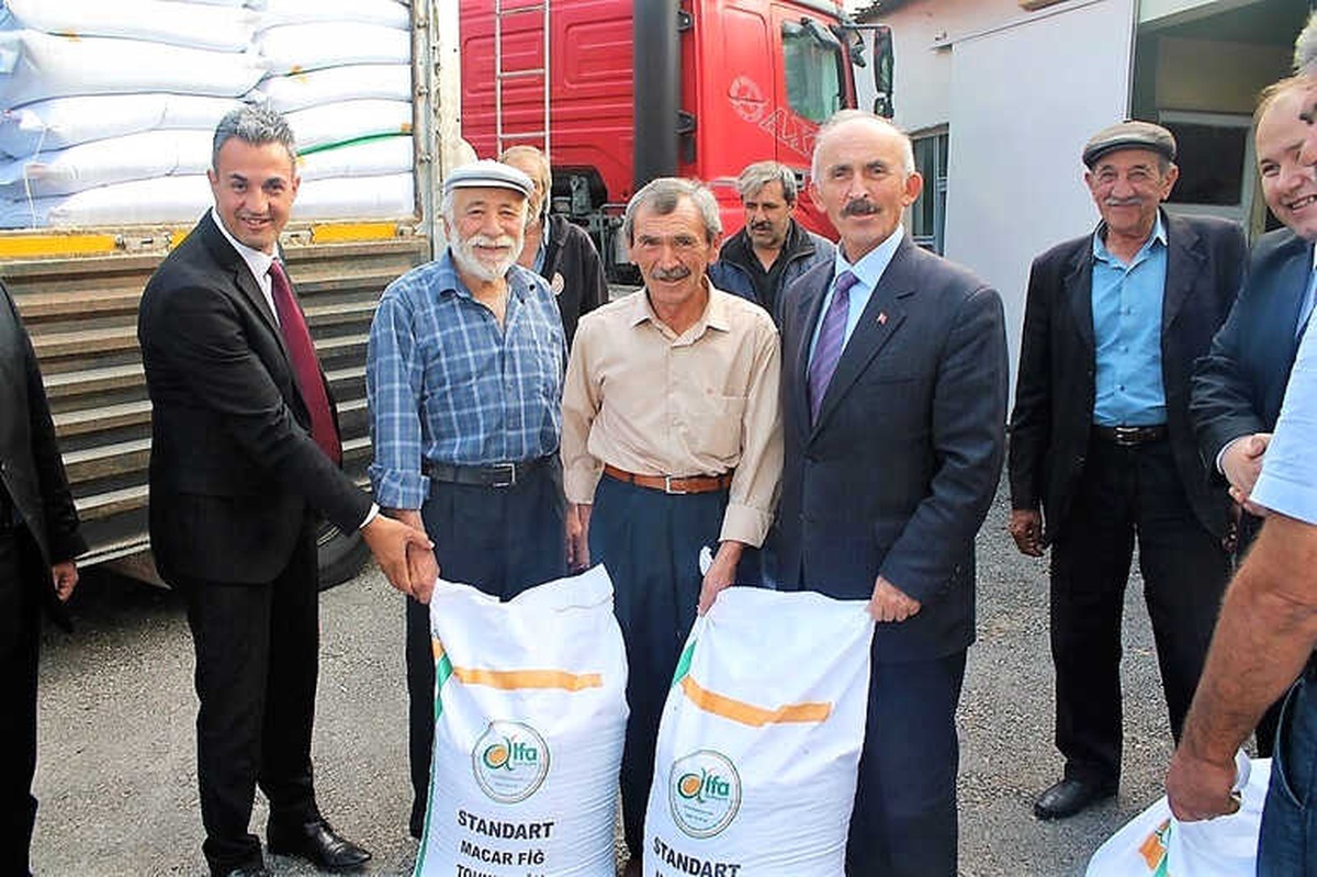 Çiftçilere Hibe Destekli Yem Bitkisi Tohumu Dağıtıldı