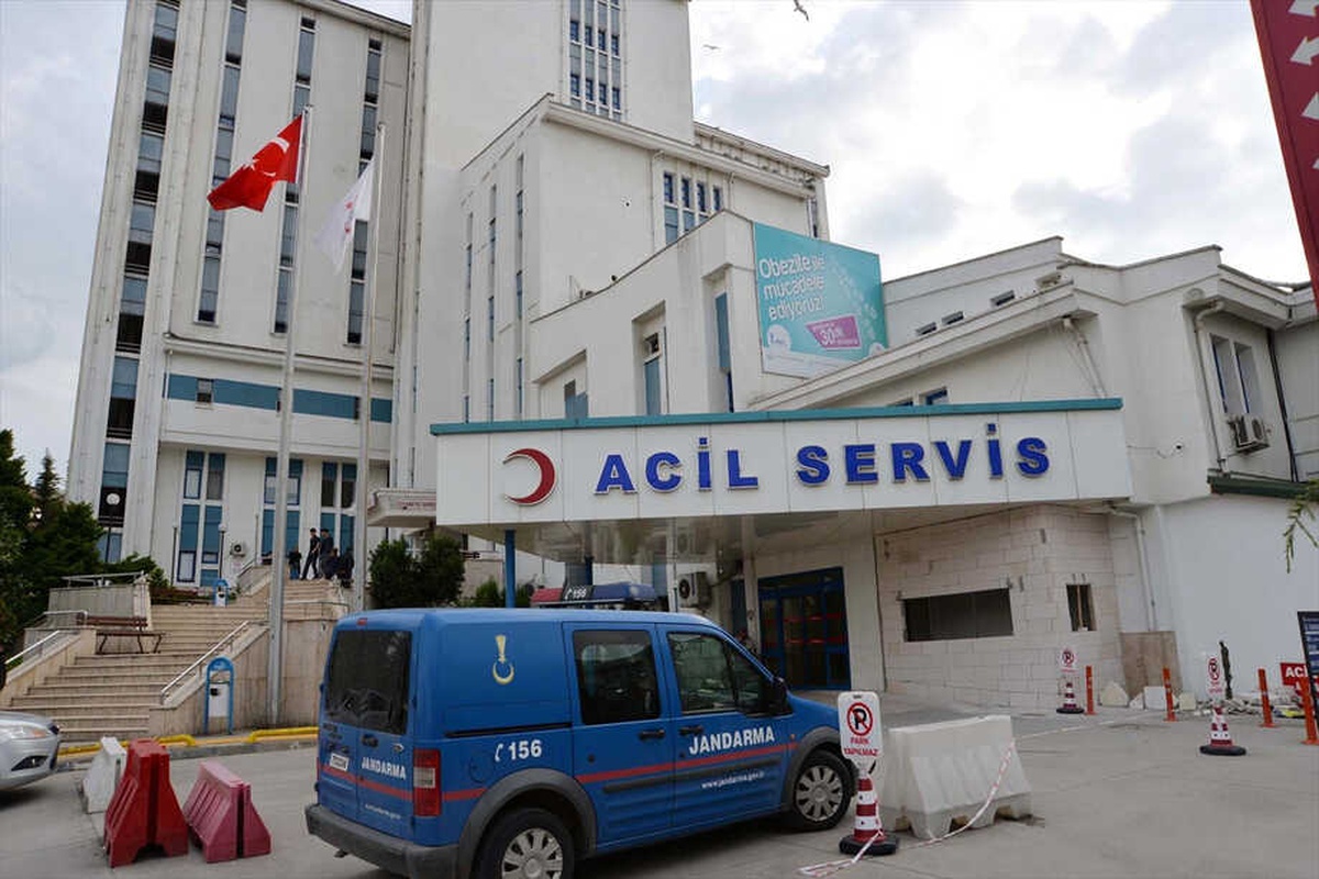 Kilis\'ten Sonra Ordu\'da Arının Soktuğu Kadın Öldü