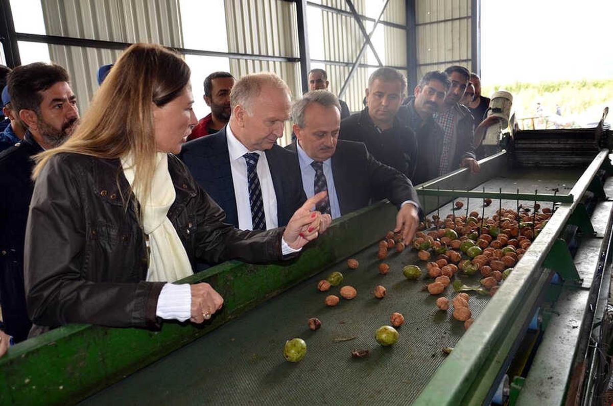 Vali Ceylan, Ceviz İşleme Tesisinde İncelemelerde Bulundu