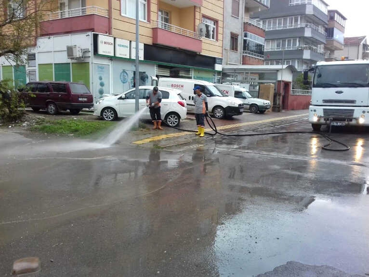 Yollar Yıkandı, Yabani Otlar Temizlendi