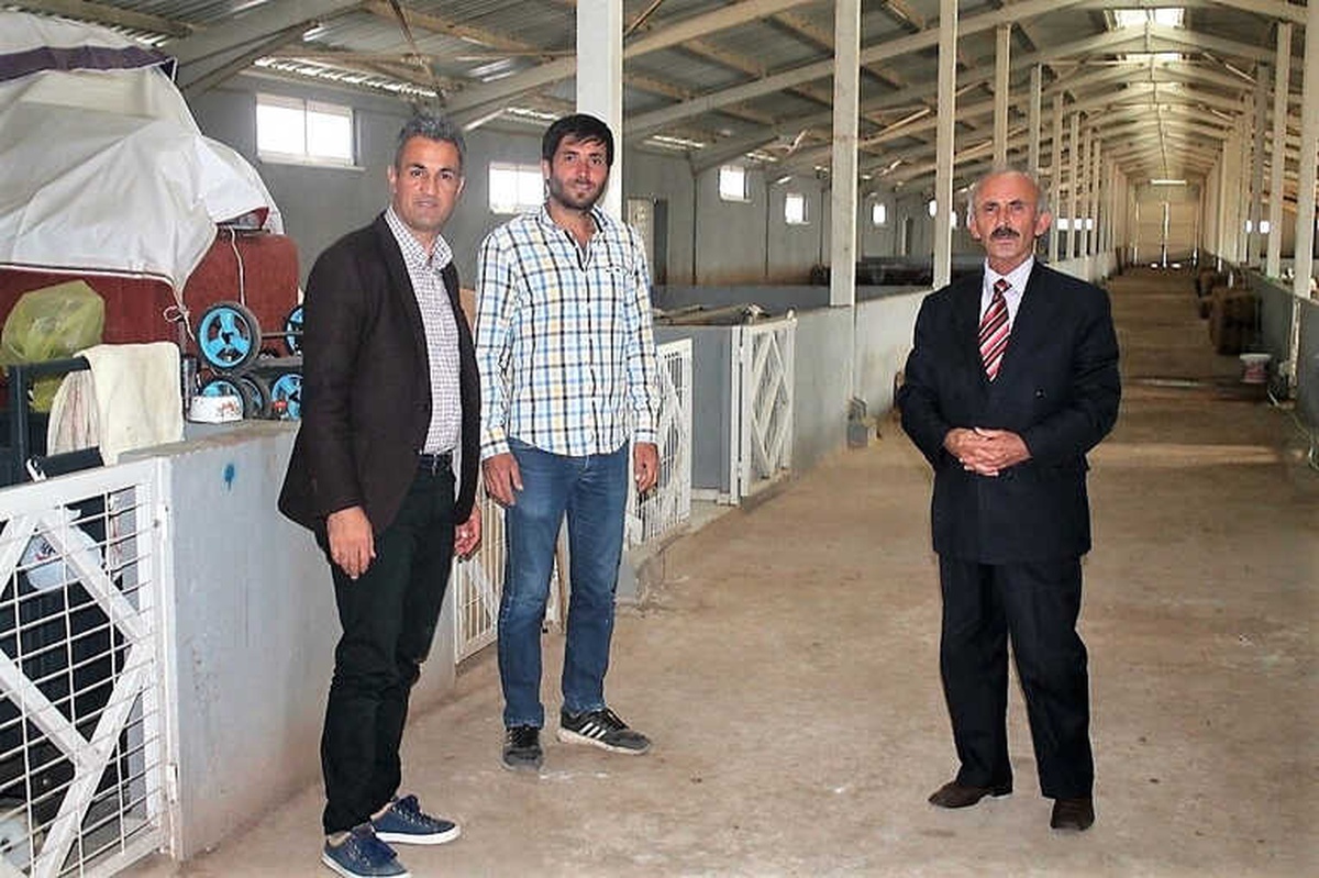 Yöneticiyken Köyüne Dönüp Hayvancılığa Başladı