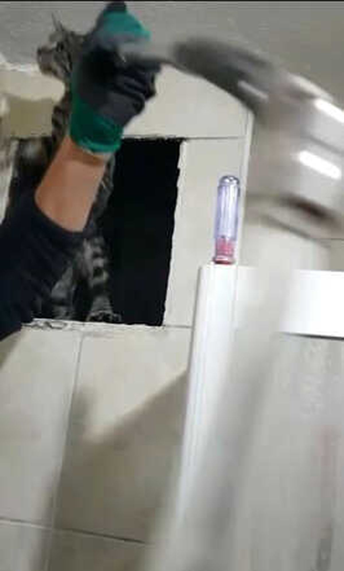 Aksaray İtfaiyesinden Kedi Kurtarma Operasyonu