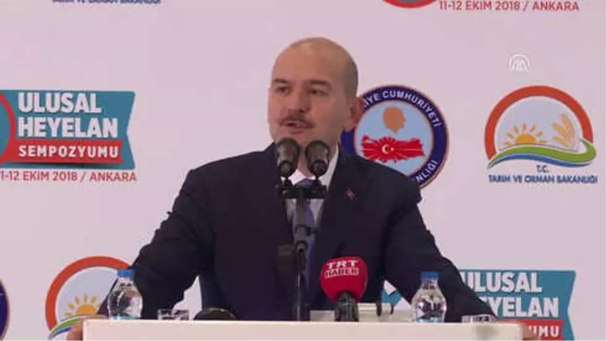 Soylu : "Yağmuru Yüce Allah Yağdırdı Ama Dere Yataklarına Evleri Yapanlar İnsanlardı"