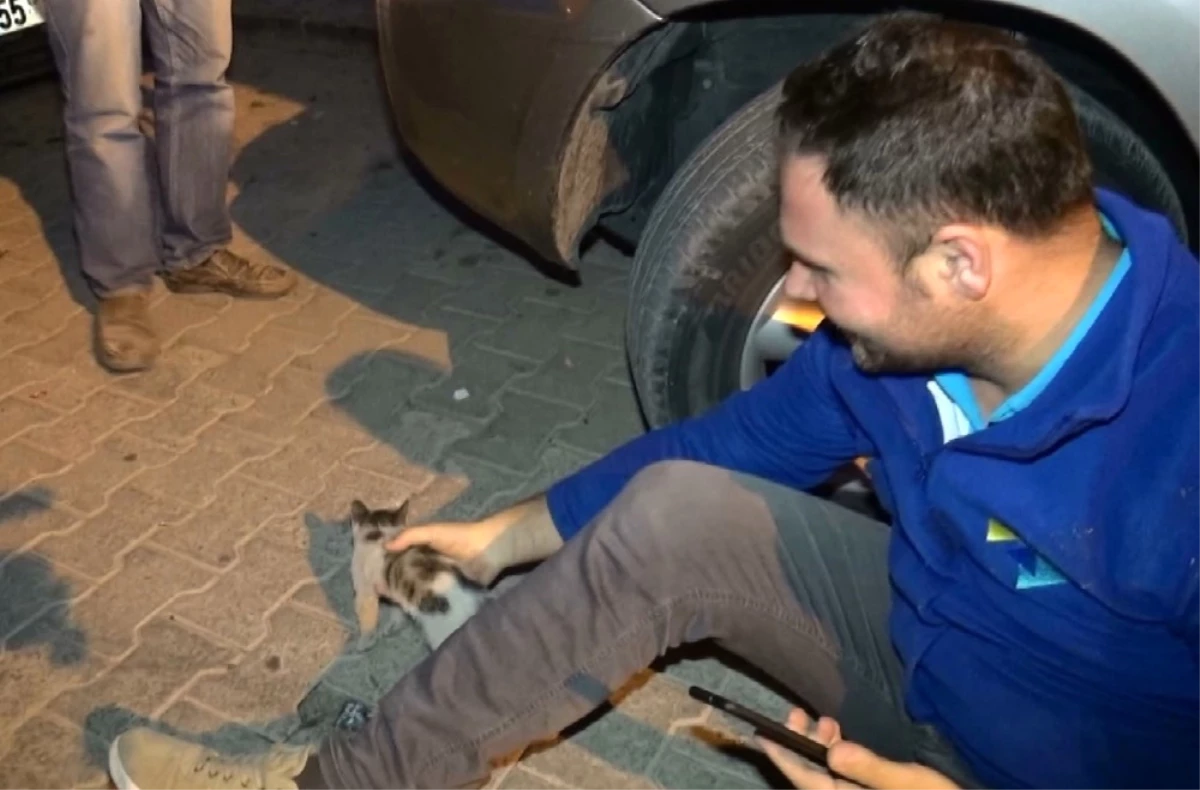 Aracın Motor Kısmına Sıkışan Yavru Kedileri Vatandaşlar Kurtardı
