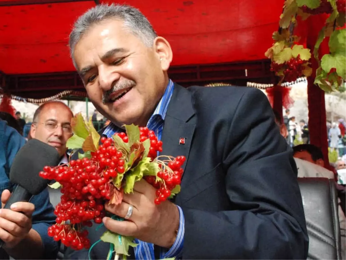 Melikgazi Ceviz ve Gilaboru Şenliği Başlıyor