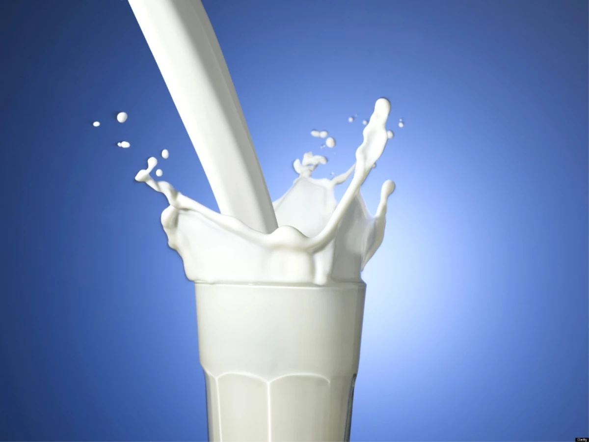 Toplanan İnek Sütü Miktarı Ağustosta Arttı