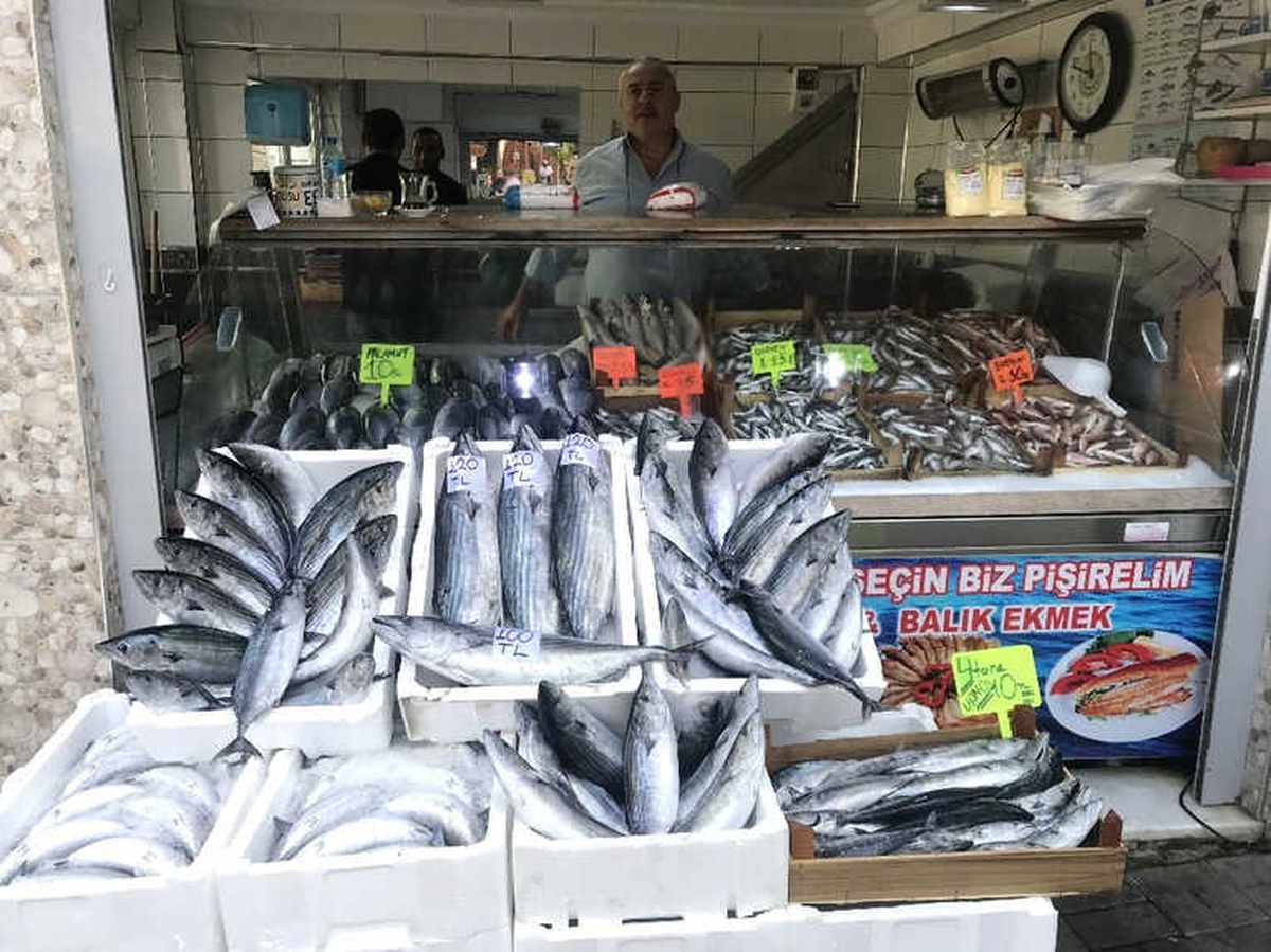 4 Kiloluk Torik 120 TL\'den Satışa Sunuldu