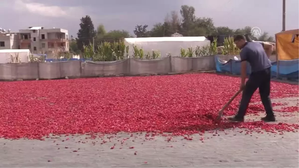 Ağızları Yakan "Reçel"