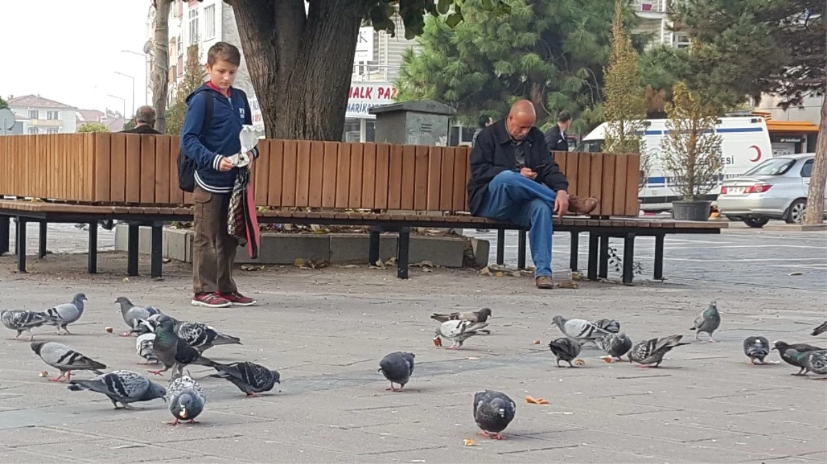 Düzce\'nin Güvercinli Meydanları Çocukların İlgi Odağı Oldu