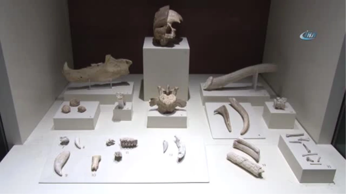Anadolu Medeniyetler Müzesi\'nde Tarihin İlkleri Sergileniyor