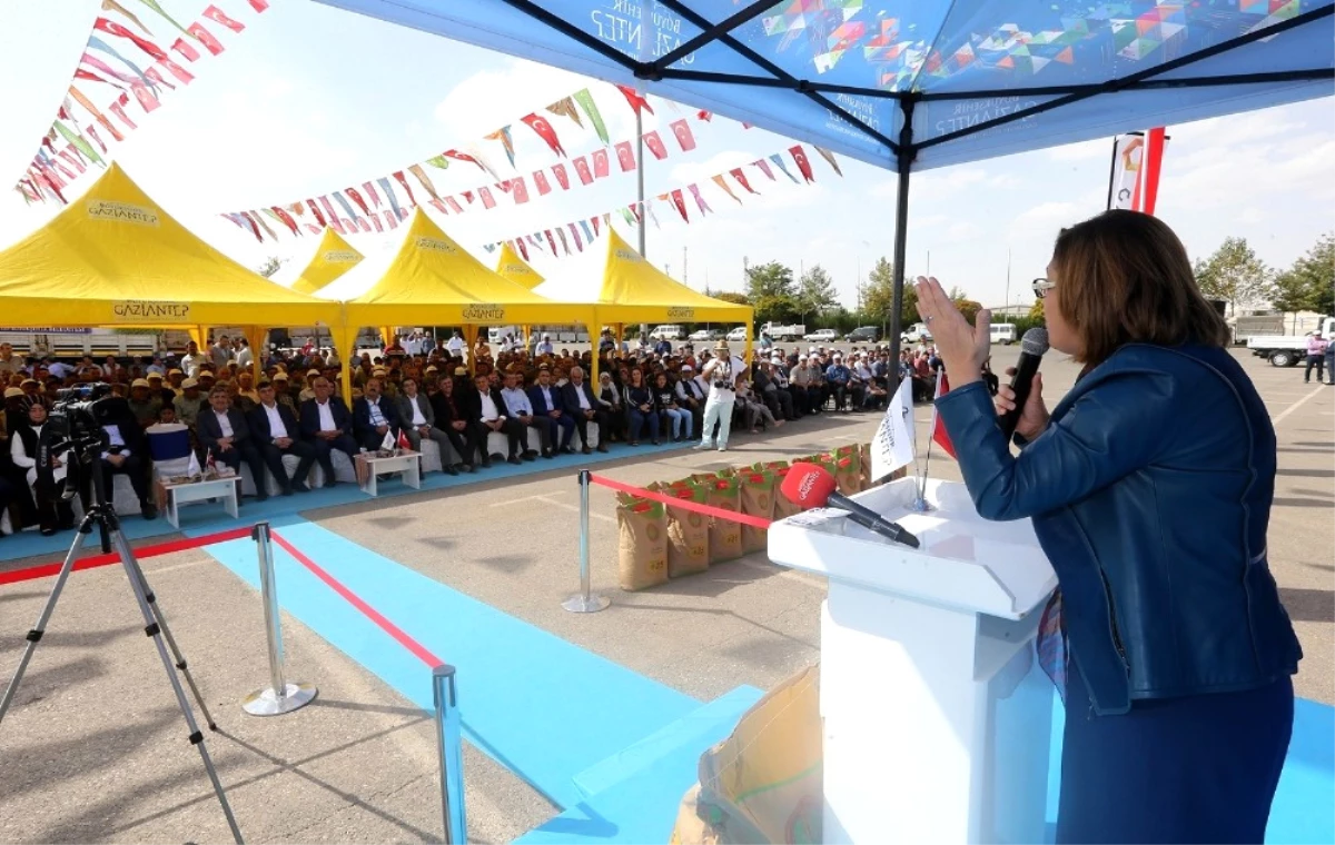 Büyükşehir Buğday ve Arpa Tohumu Dağıttı