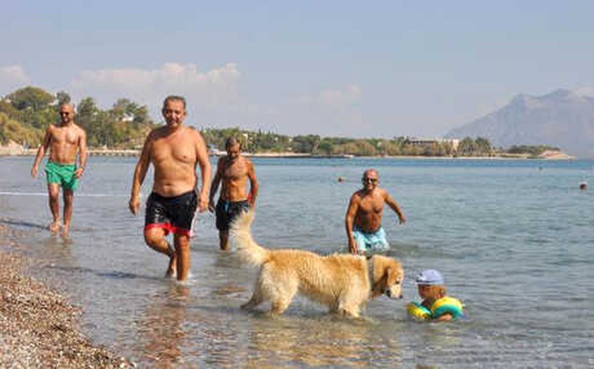 Datça\'ya \'Sarıca Yaz\' Geldi