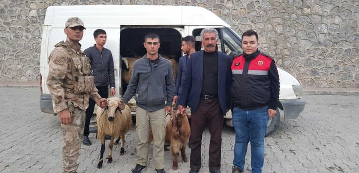 Jandarma\'dan Hayvan Hırsızlarına Operasyon