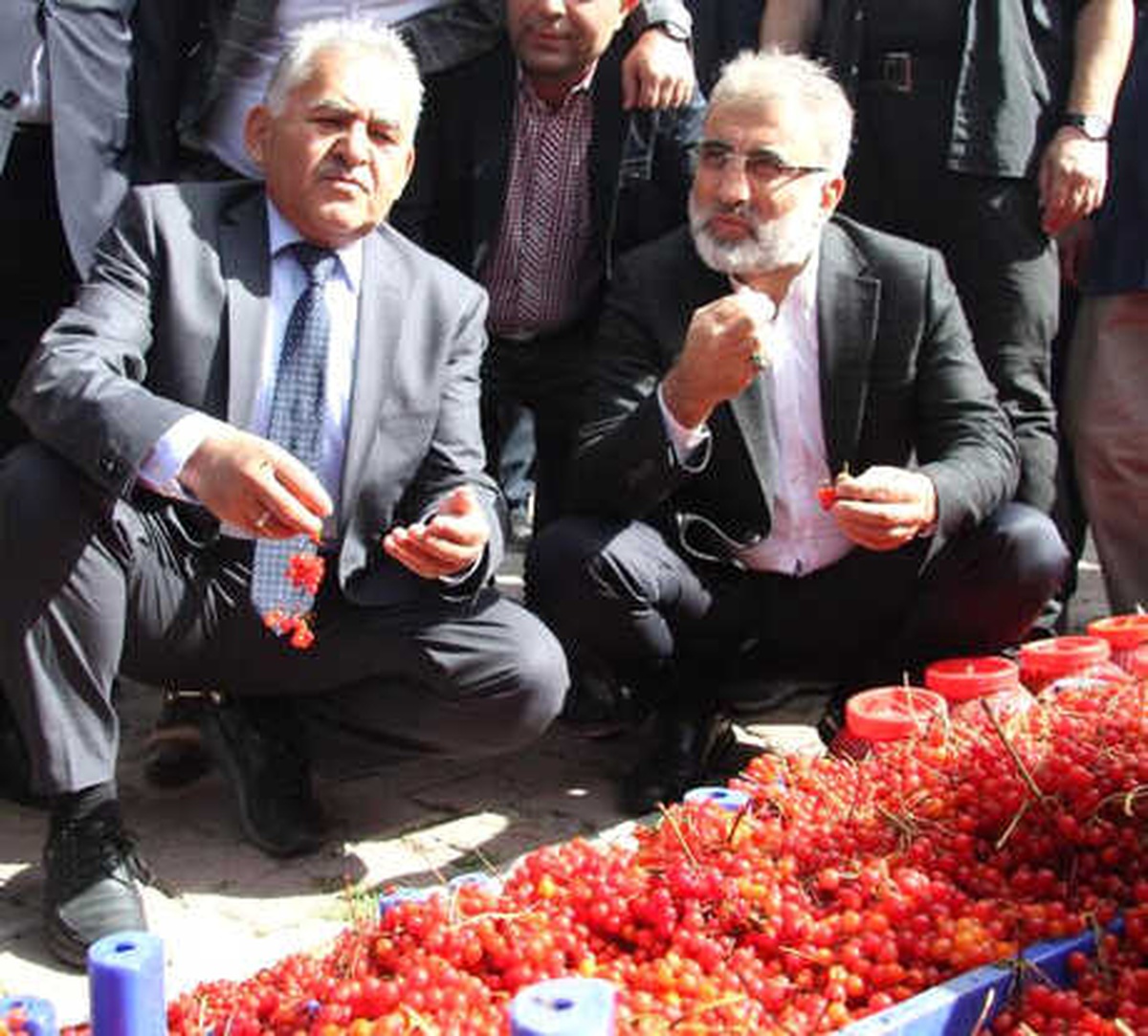 Kayseri\'de \'Gilaburu ve Ceviz Festivali\'
