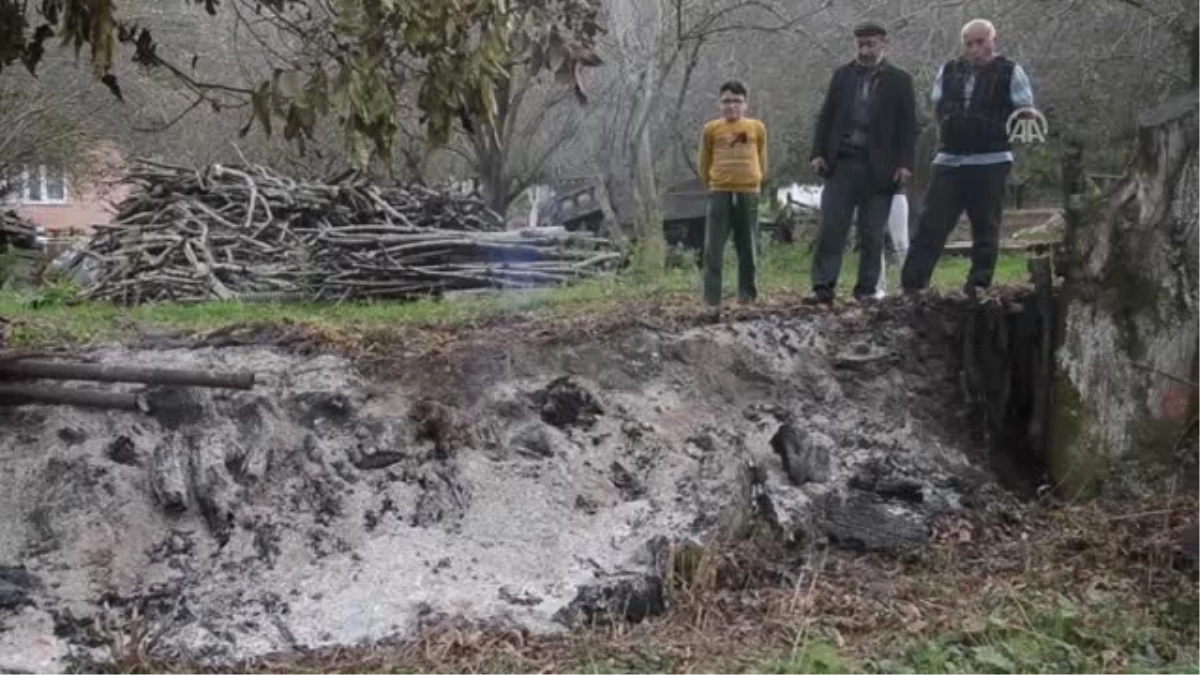 Kestane Ağacına Yıldırım Düştü