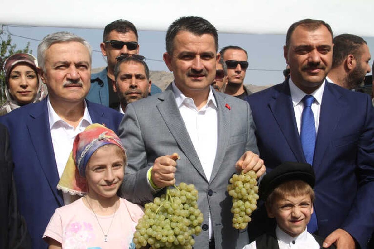 Mısır Üreticilerine Müjde