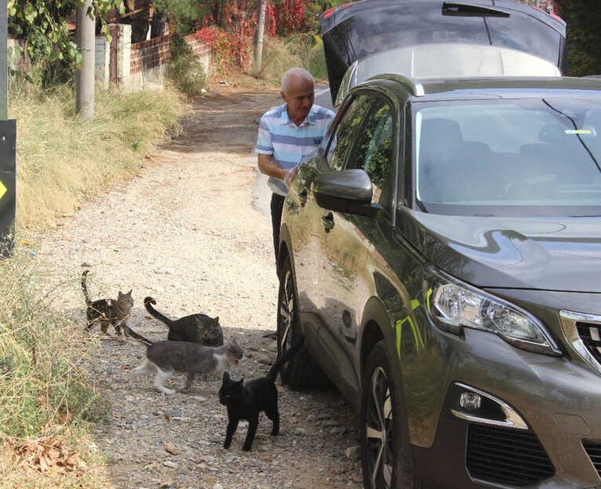 Bir Çok Kişi Öldürmeye, O Yaşatmaya Çalışıyor