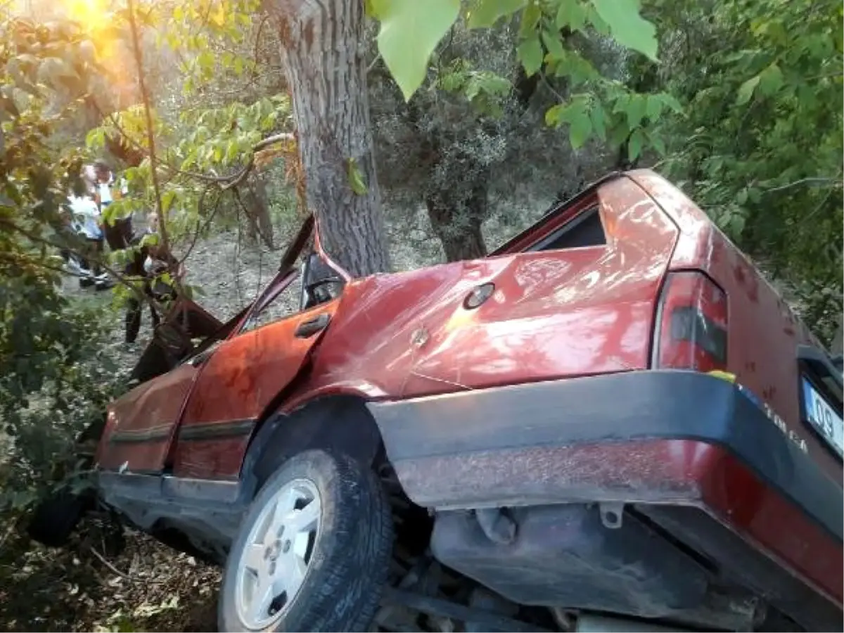 Ağaca Çarpan Otomobilin Sürücüsü Yaşamını Yitirdi