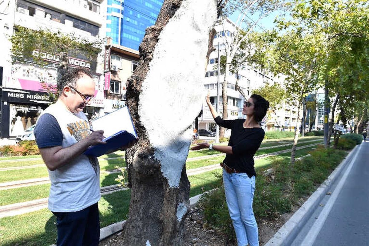 Anıt Ağaçlara Gençlik Aşısı