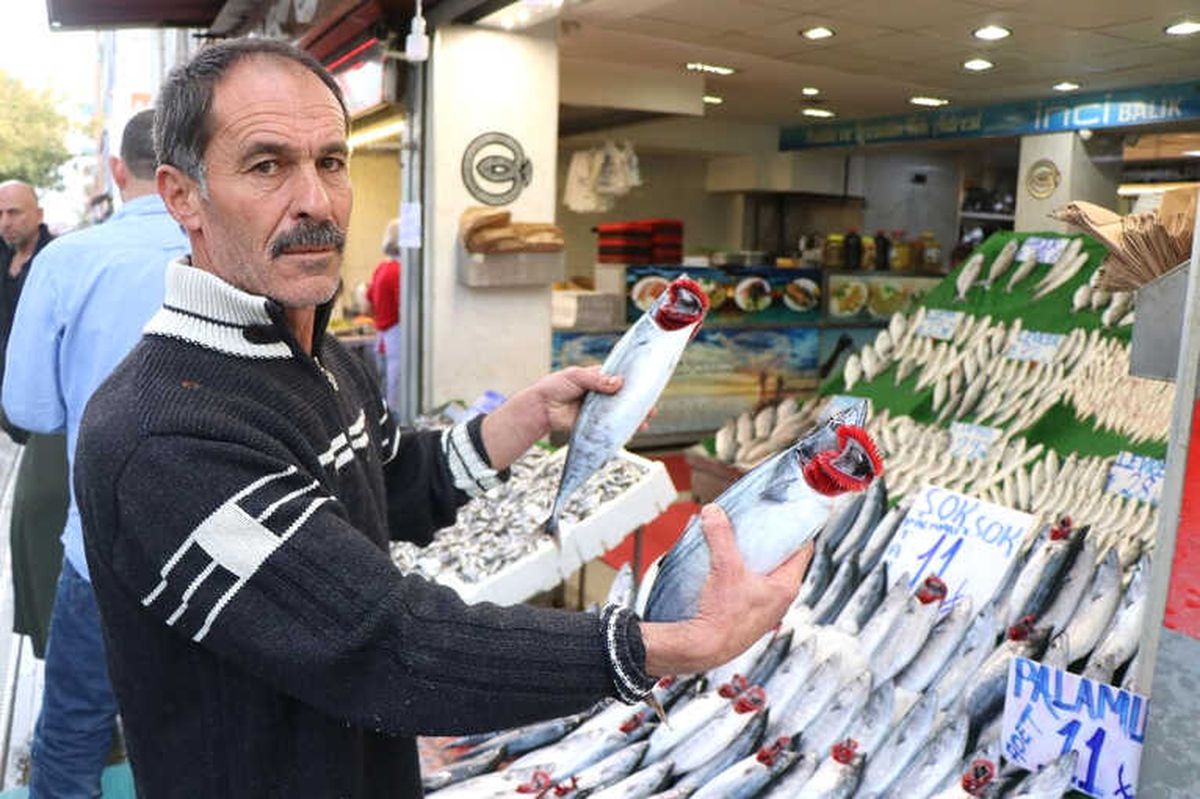 Balıkçılarda \'Palamut\' Yoğunluğu