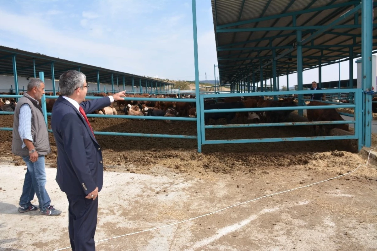 Başkan Vidinel\'den Besi Çiftliğine Ziyaret