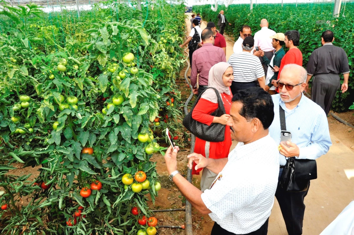 Batı Akdeniz Sebze Meyvesine Yeni Hedef Pazarlar