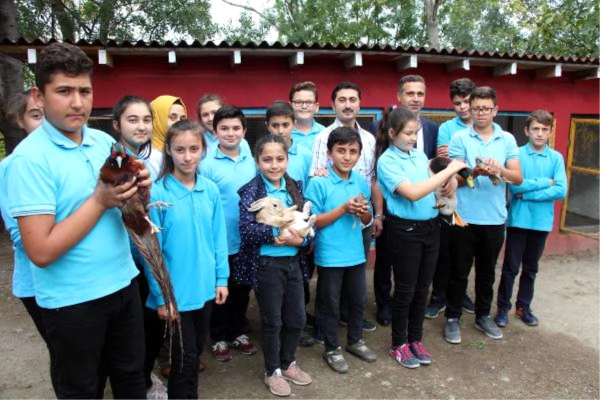 Çocuklara Hayvan Sevgisi Kazandırmak İçin Okula Hayvanat Bahçesi Kurdular