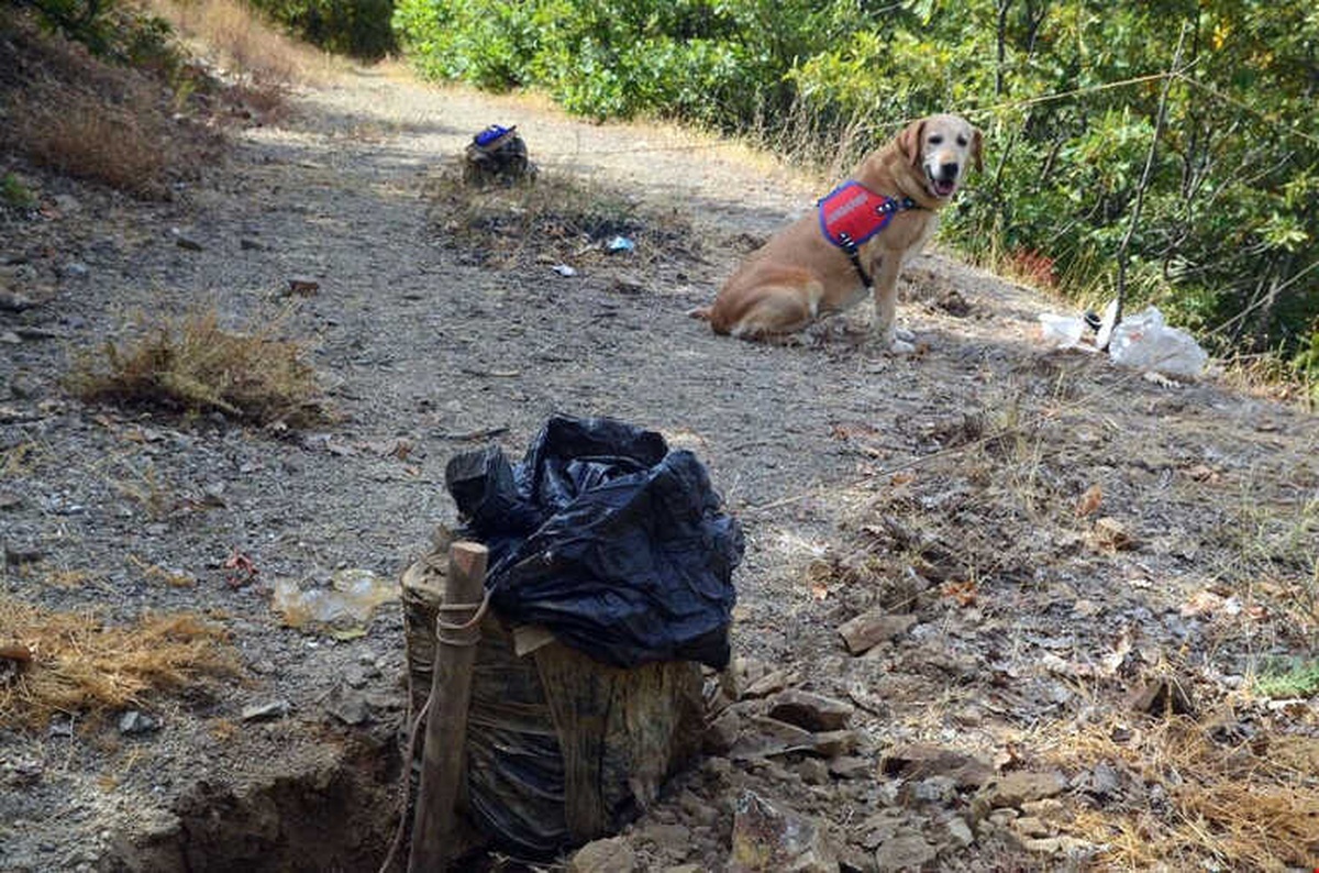 İkisi Tuzaklanmış Toplam 340 Kilo Patlayıcı Ele Geçirildi