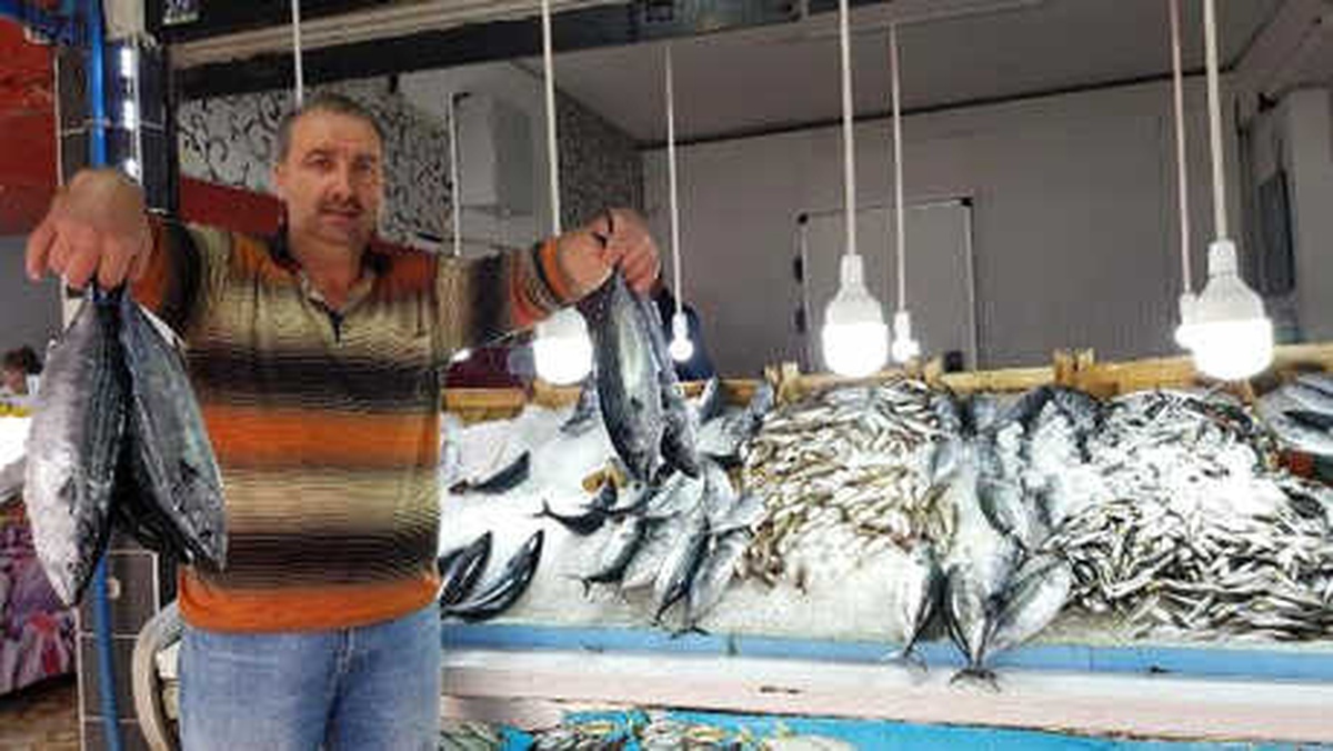 Ordu\'da Palamut Bolluğu Fiyatları Düşürdü