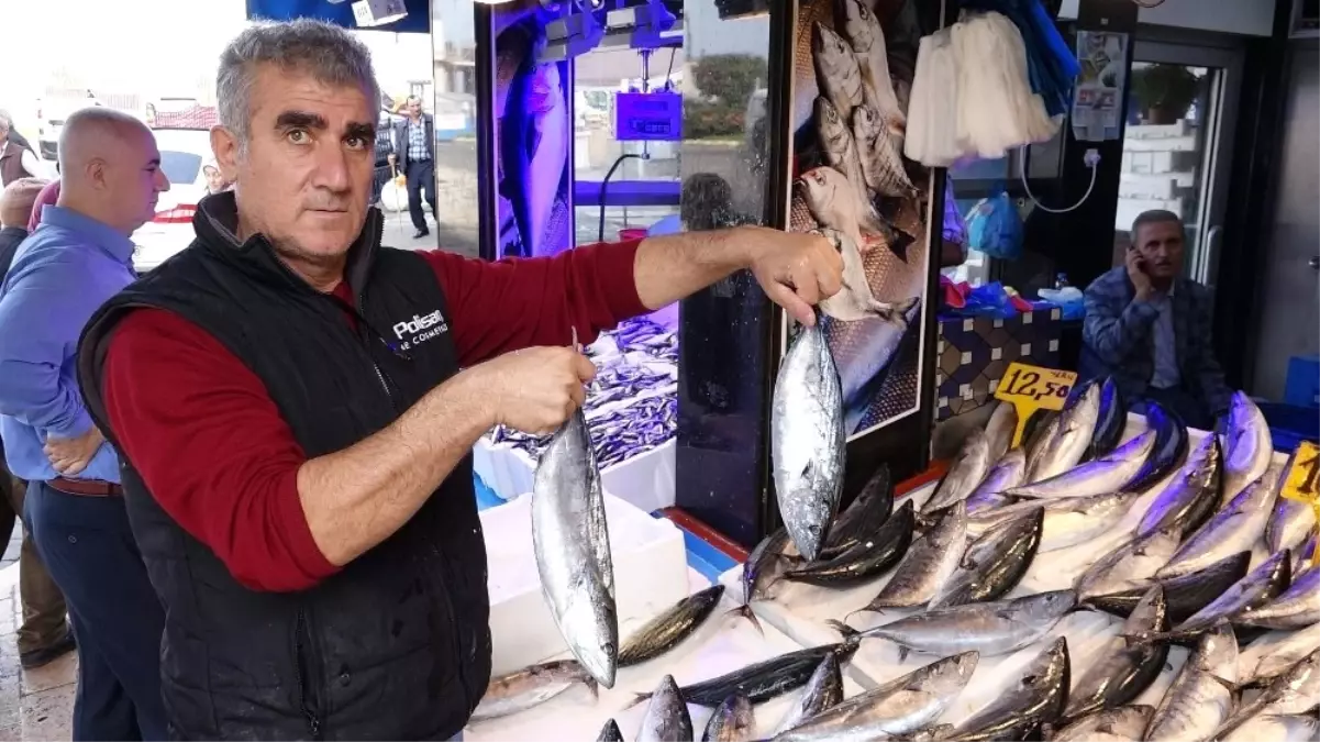 Trabzon\'da Palamutta Sezonun En Verimsiz Günü Yaşanıyor