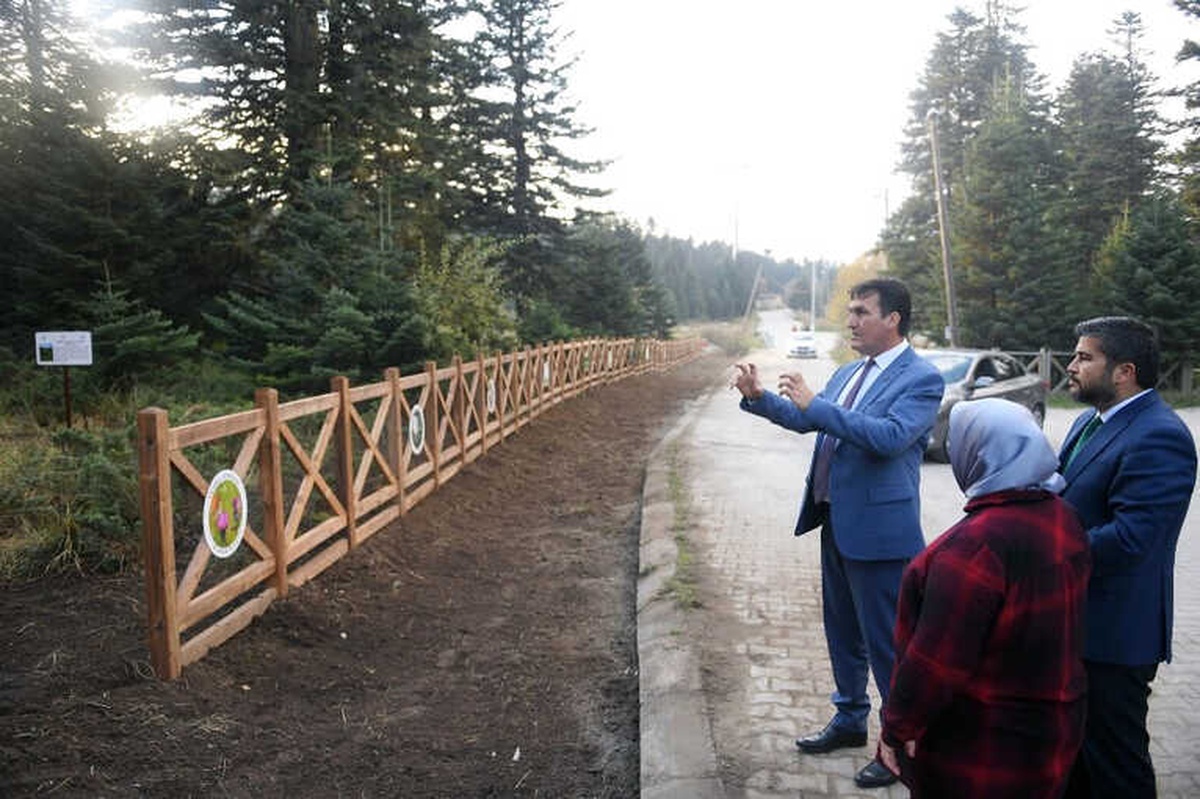 Uludağ\'ın 4 Noktasına Endemik Park