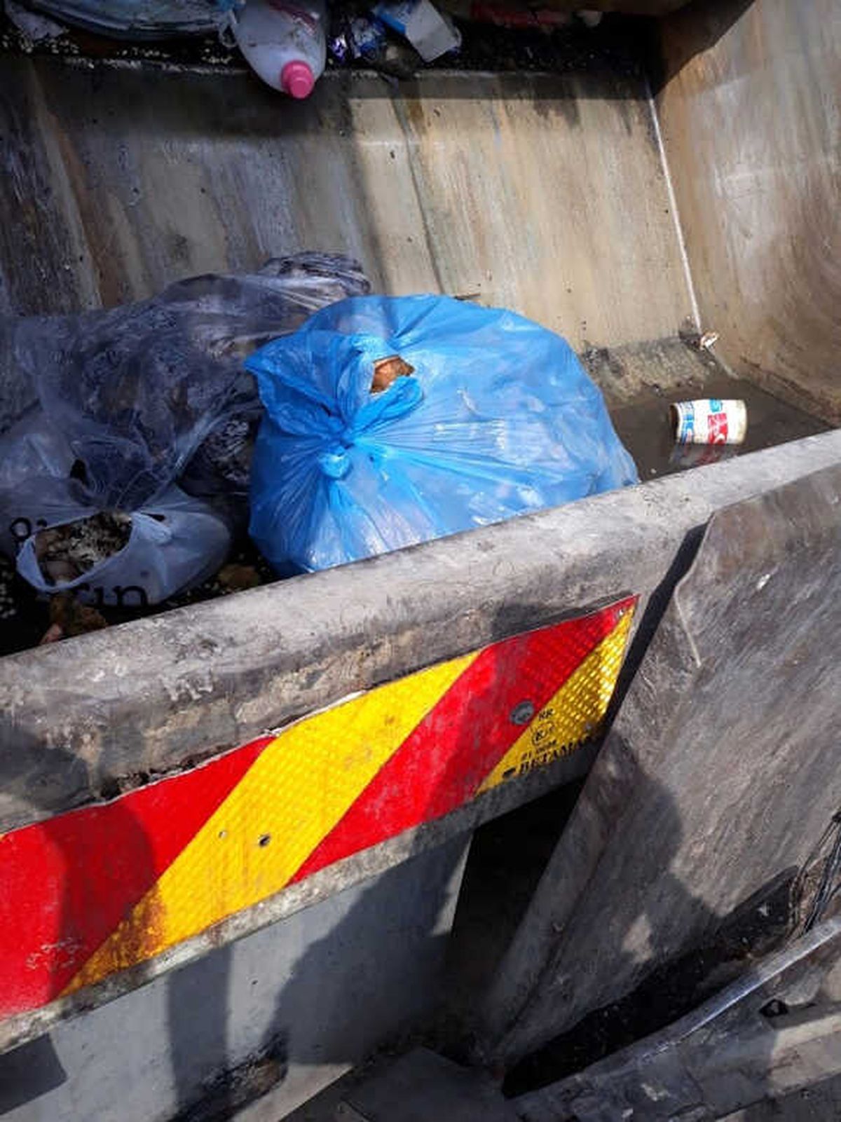 Zonguldak\'ta 40 Kilogram Mantar İmha Edildi