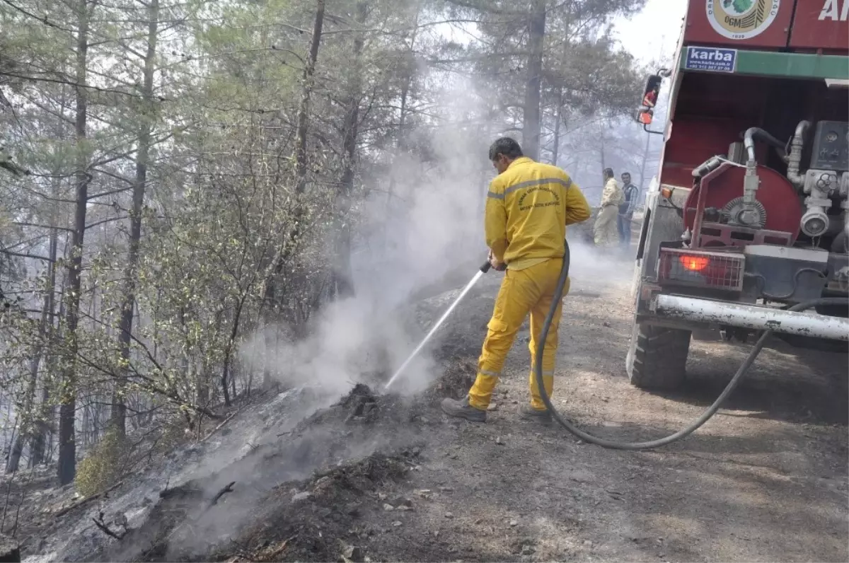 Amanoslardaki Orman Yangınını Soğutma Çalışması Sürüyor