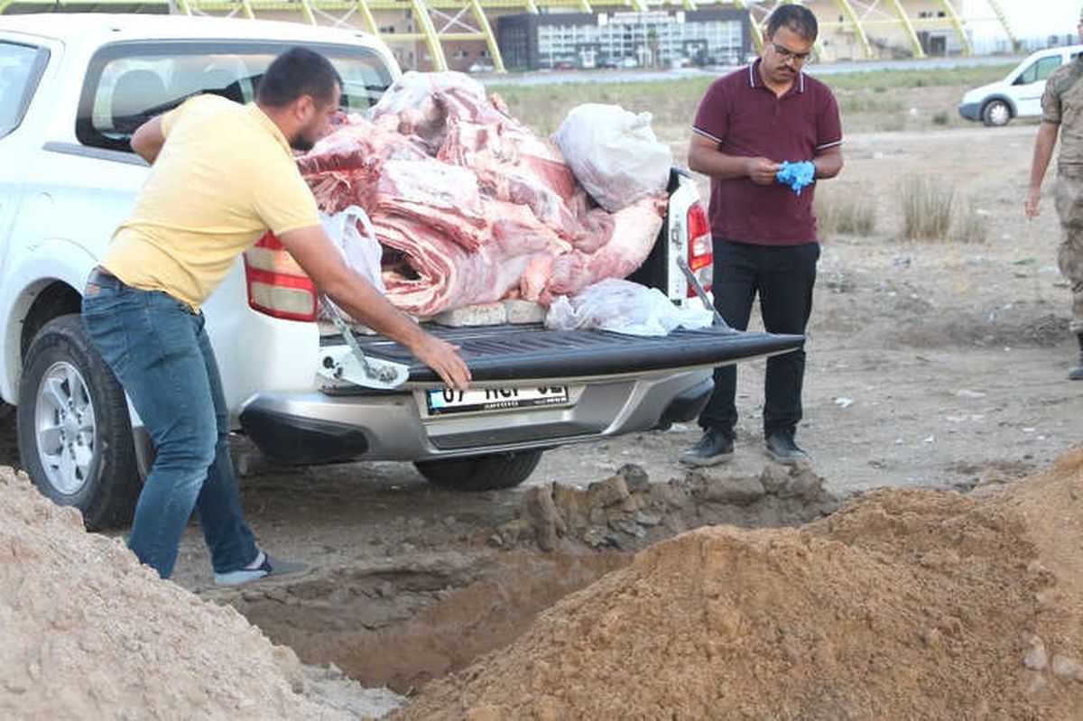 Antalya\'da Otomobilde 350 Kilo Et Ele Geçirildi