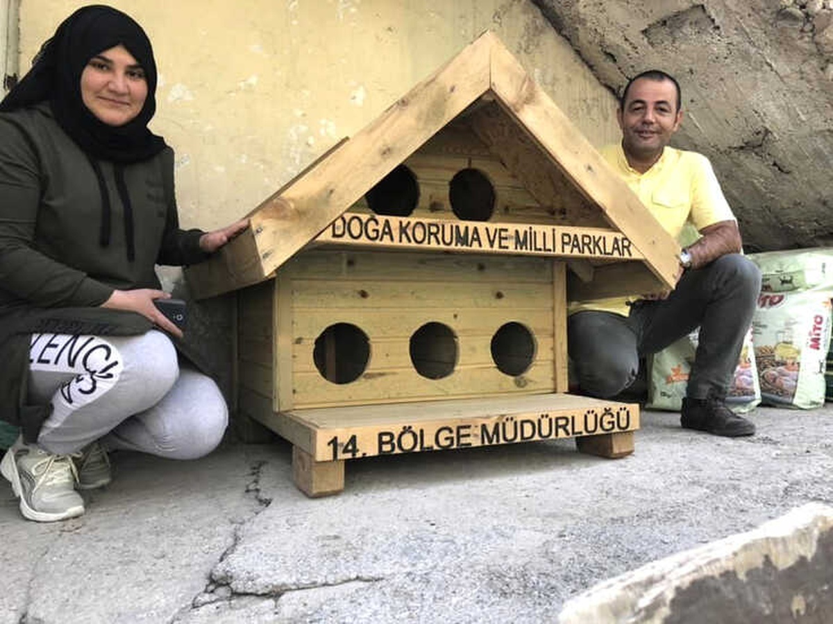 Hakkari\'de Kedi-köpekler İçin Kulübeler Yapıldı