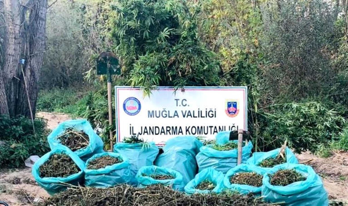 Muğla\'da 1,2 Milyon TL\'lik Uyuşturucu Operasyonu