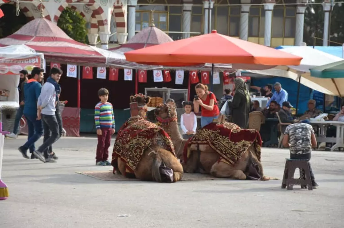 948 Yıllık Zile Panayırında Enflasyon Sıfır