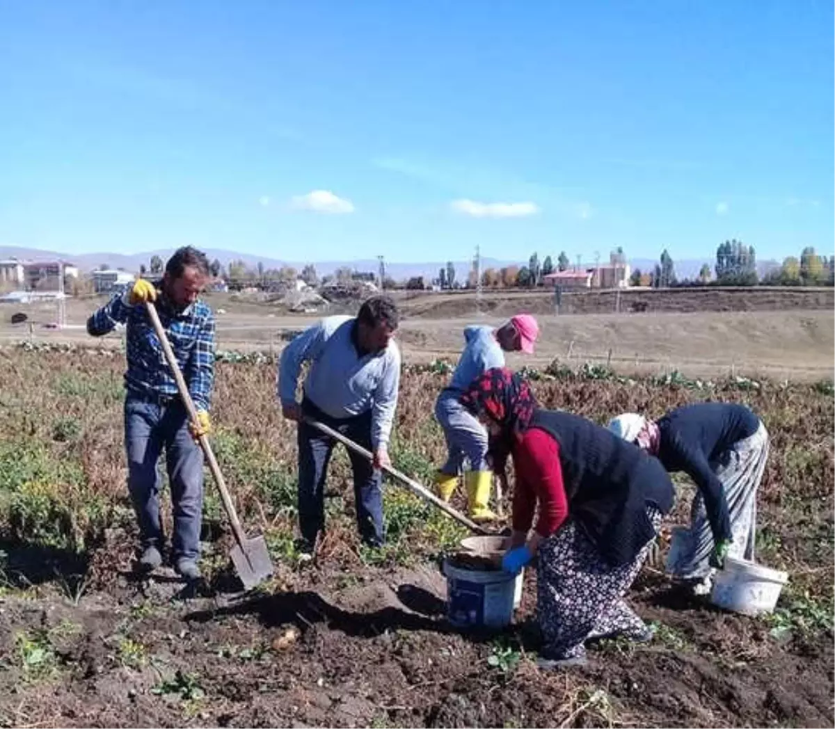 Çıldırlı Çiftçiden Patates Tedbiri