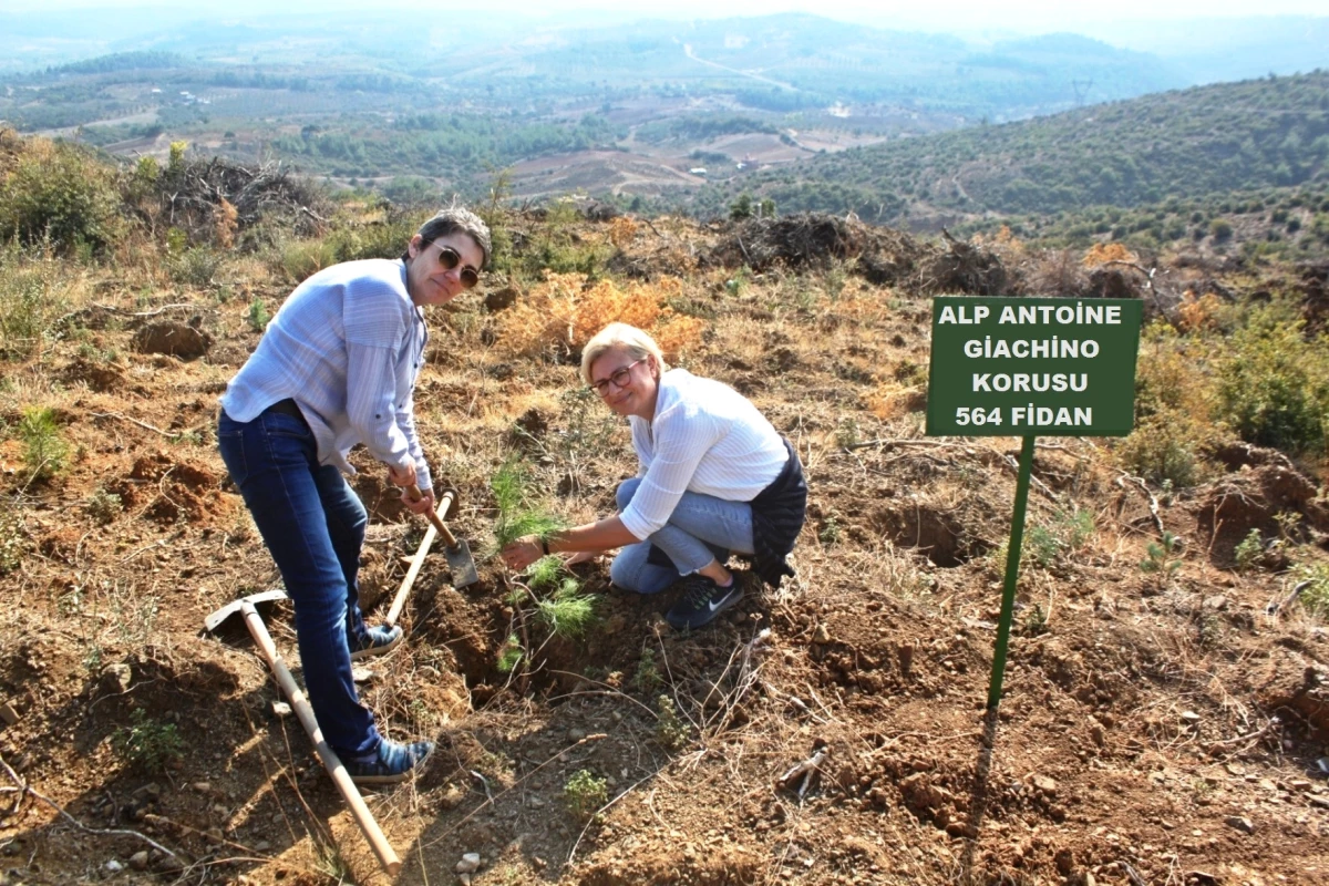 Giachino Fidanlarda Yaşayacak!