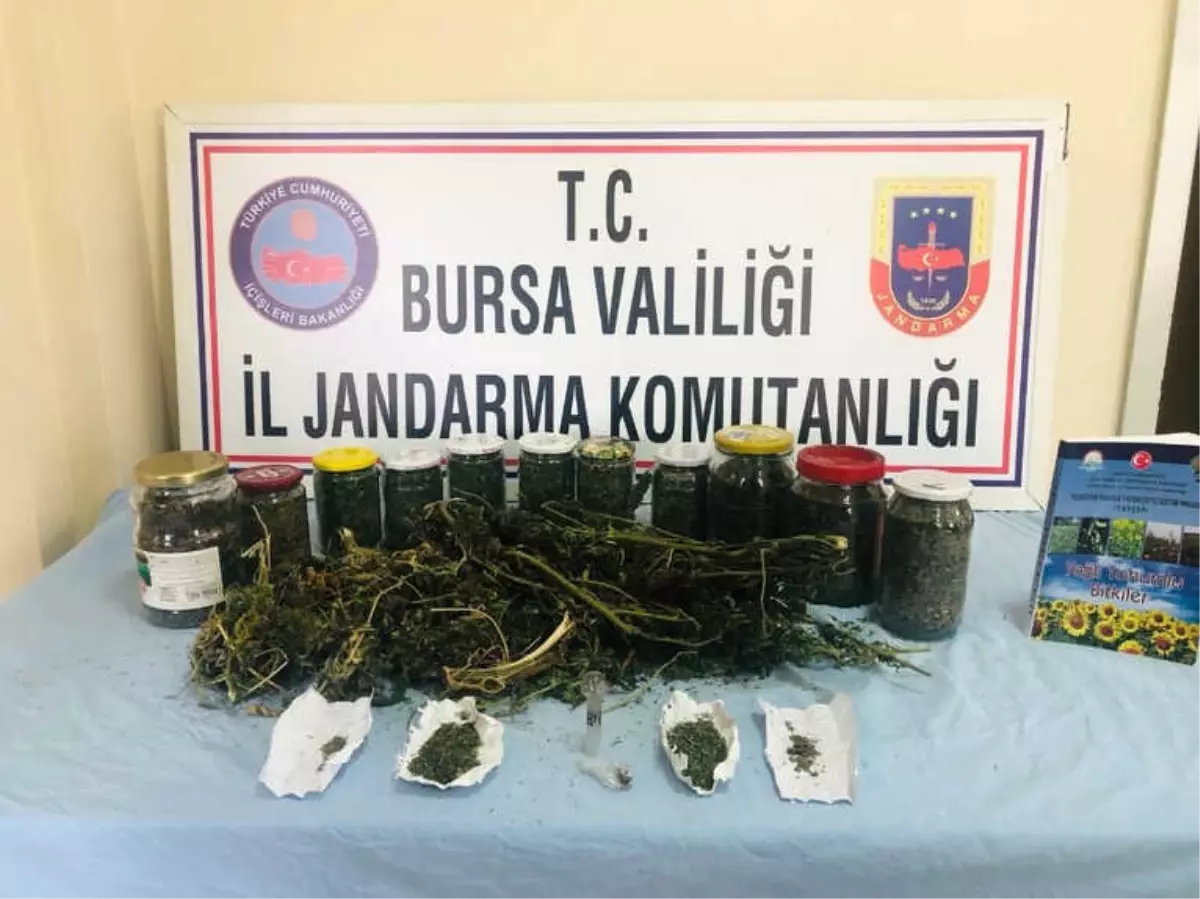 Jandarma Uyuşturucu Tacirlerine Göz Açtırmıyor