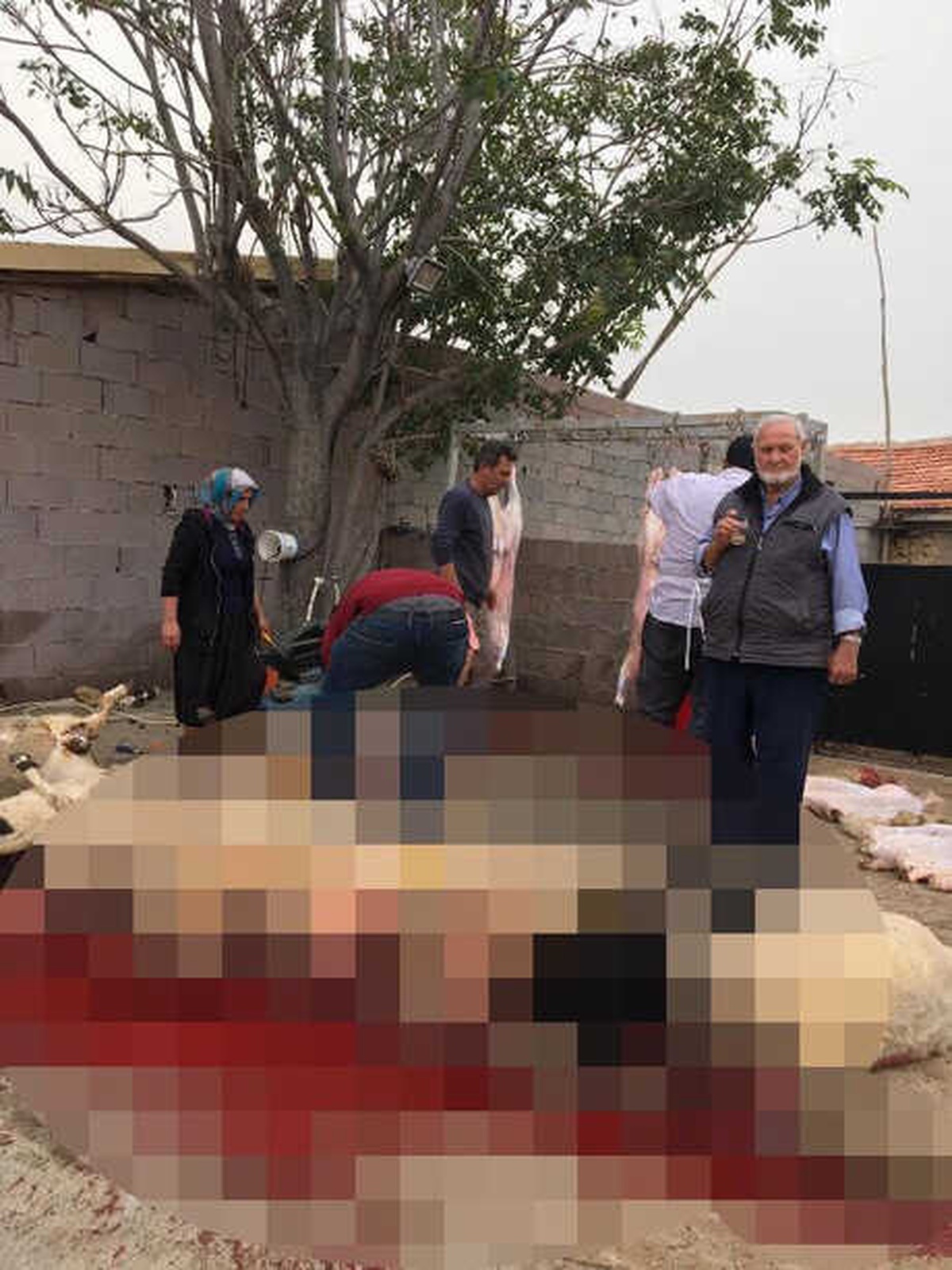 Cumhurbaşkanı İçin Adağı 10 Koyunu Kesti