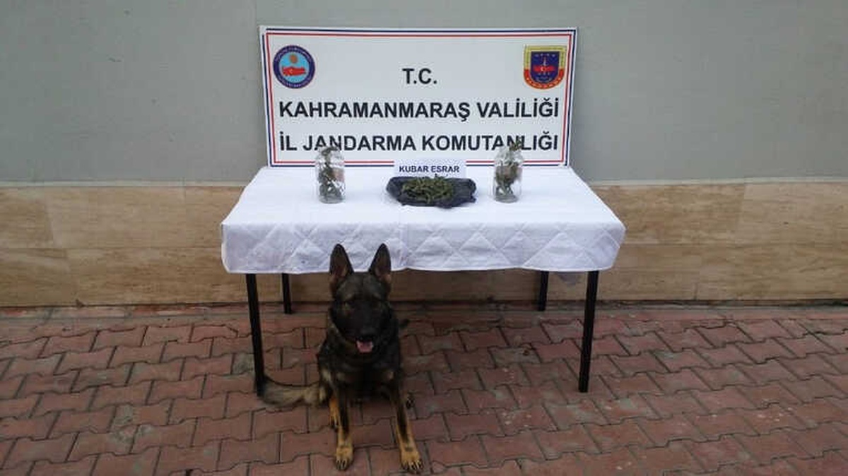 Kavanozdaki Uyuşturucuyu \'Atos\' Buldu