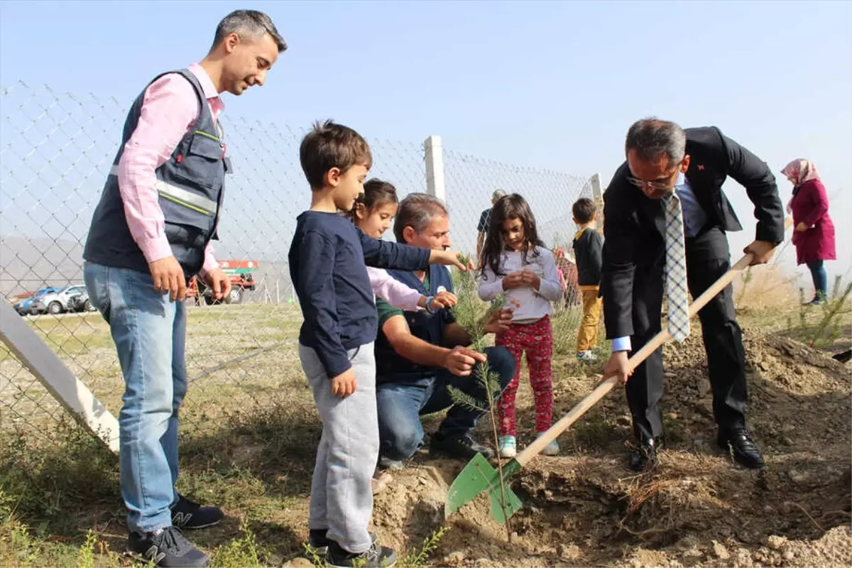 Tosya\'da Öğrenciler Fidan Dikti