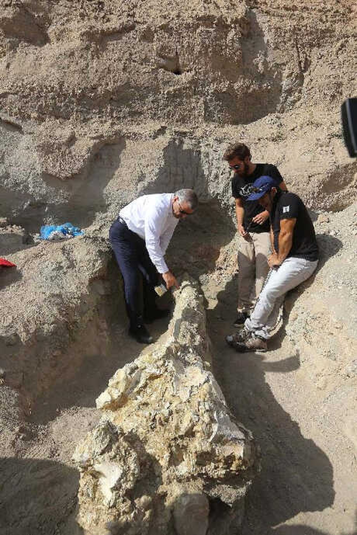 Kayseri\'de 7,4 Milyon Yıllık Fil Kafatası Bulundu