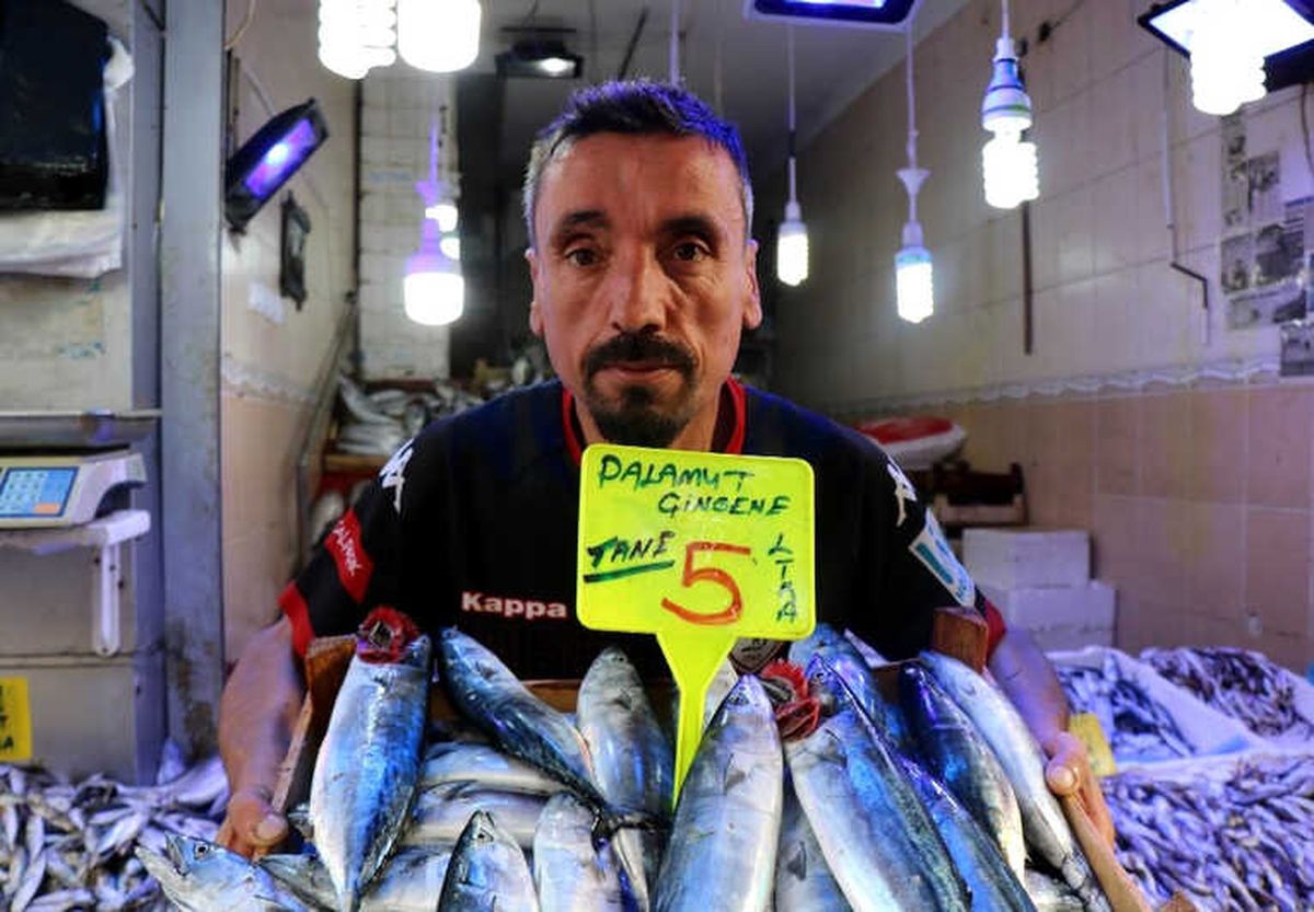 Samsun\'da Palamut 5 Lira