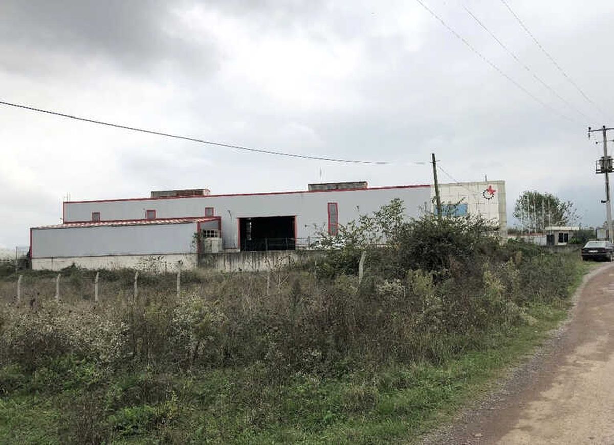 Devrilen Vincin Altında Kalan İşçi Hayatını Kaybetti