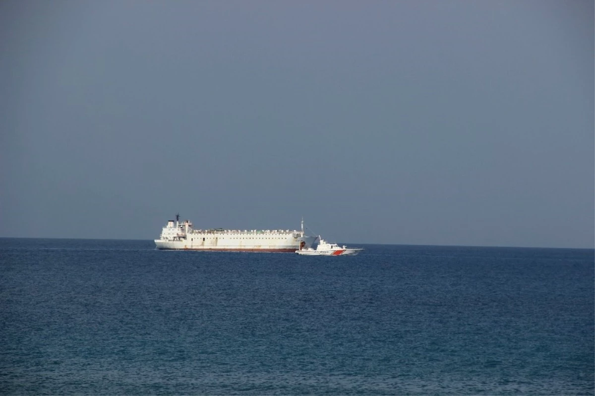 İzmir\'den Gelen Angus Yüklü Gemi Körfez Açıklarında Bekletiliyor