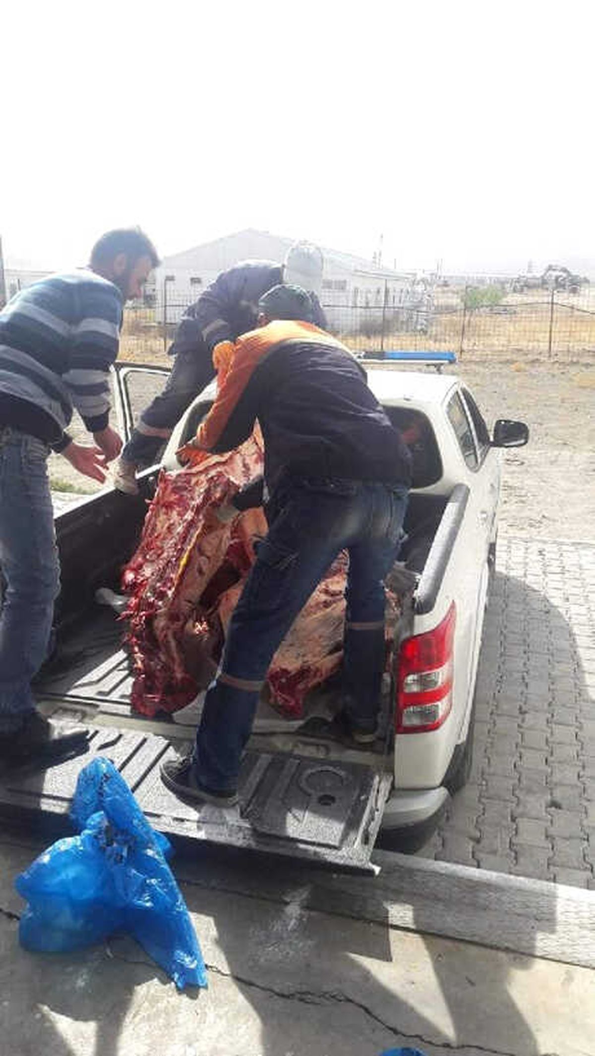 Kayseri\'de 400 Kilo Kaçak Ete El Konuldu