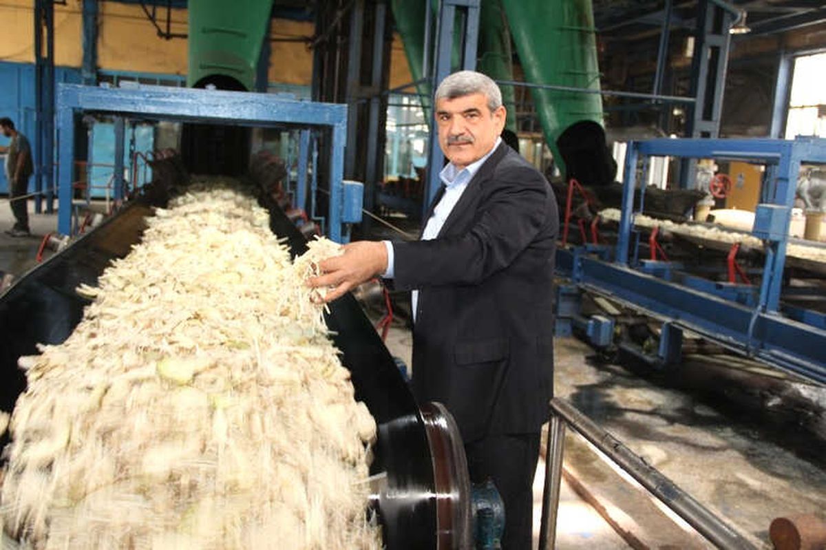 Şeker Fabrikası Pancar Alımı